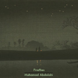 دانلود آهنگ Fireflies از محمد عبدالهی