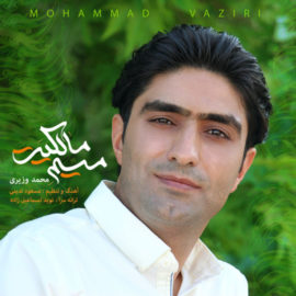 محمد وزیری