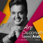 دانلود آهنگ آره دیوونم از سعید عرب