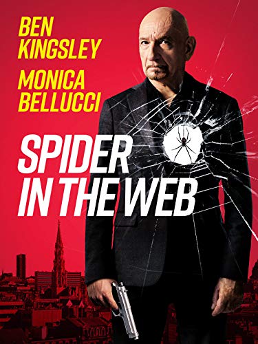 کاور فیلم Spider in the Web 2019